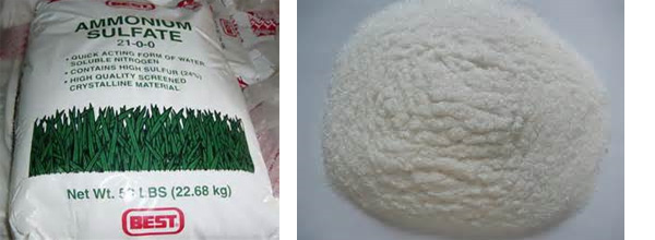Ammonium sulfate