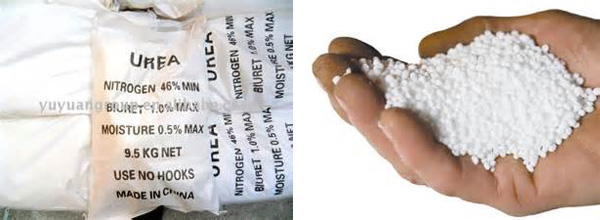 Urea